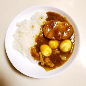 具だくさんカレーライス